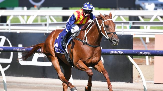 Nature Strip is shooting for back-to-back wins in the Group 1 Lightning Stakes. Picture: Getty Images
