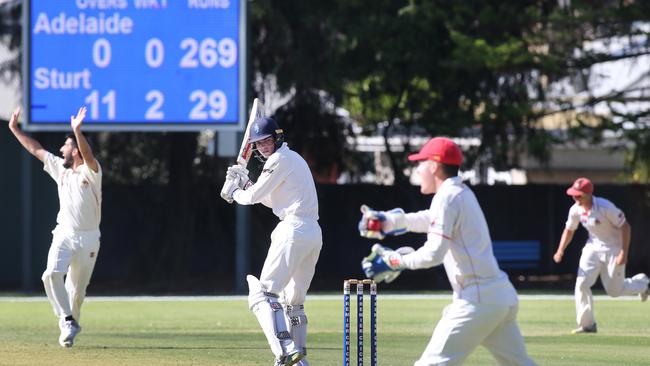 Adelaide bowler <b>Cameron Valente</b> and keeper <b>Alex Eckland </b>unsuccessfuly appeal on Saturday as Sturt batsman <b>Tom Kelly </b>breathes a sigh of relief. Picture: AAP/Dean Martin