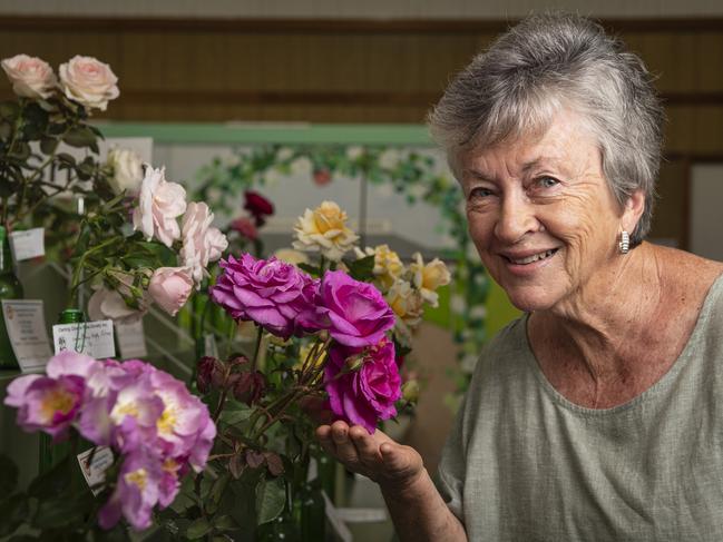 Robyn Vandersee takes in the perfume of a Brindabella Grace rose at the Queensland Rose Society Darling Downs Group autumn show, Saturday, May 4, 2024. Picture: Kevin Farmer