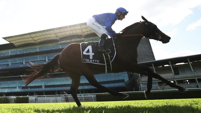 Colette gets Darren Beadman’s tick of approval. Picture: Getty Images