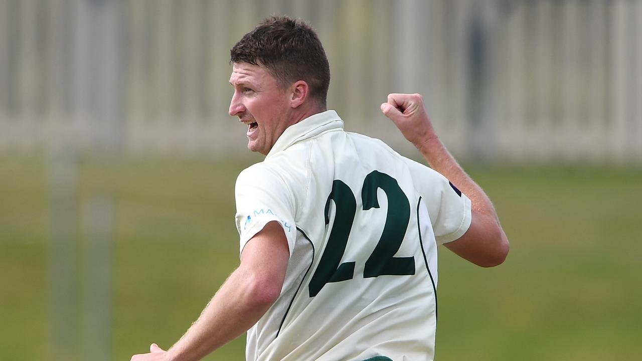 Jackson Bird of the Tigers celebrates a wicket.