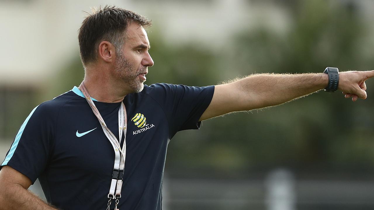 Ante Milicic is set to be named interim Matildas coach.