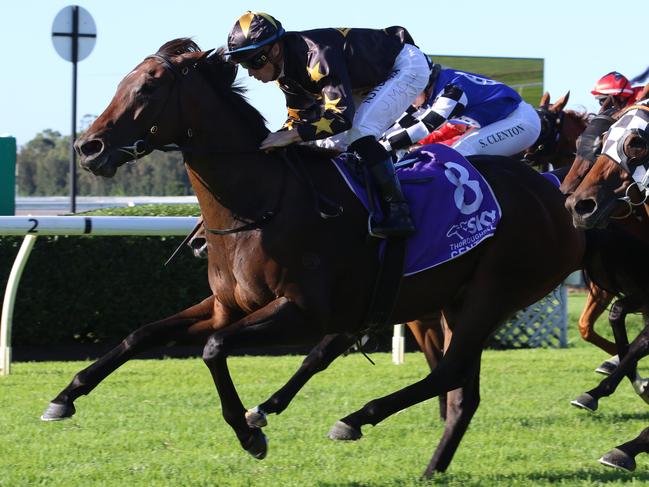 La Gai Soleil looks a great chance in the final event at Randwick on Saturday. Picture: Grant Guy