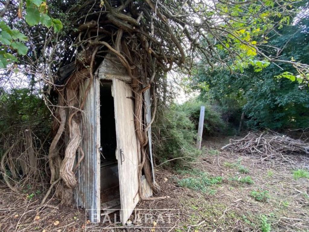 A home at 144 Broadway, Dunolly was put up for sale that was described as having an outhouse “like the Whomping Willow from Harry Potter”.