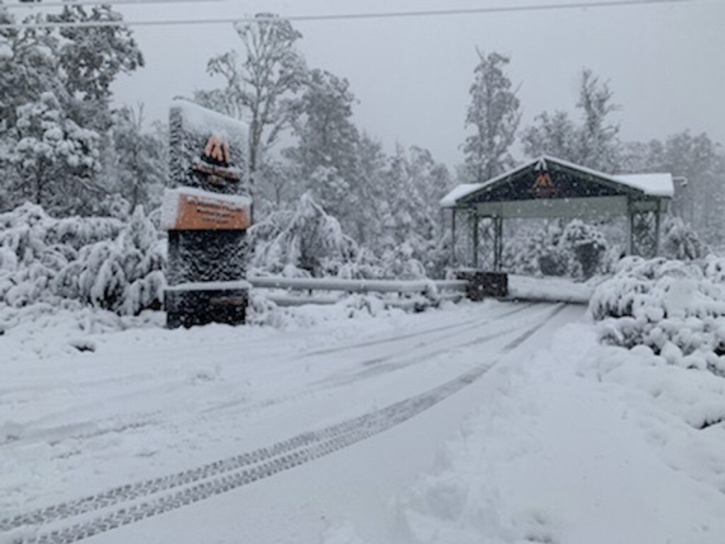 Heavy snow fall at Cradle Mountain. Picture: CRADLE MOUNTAIN HOTEL