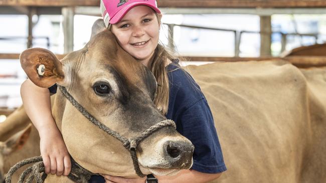 Blaze Barron with Fanta the Jersey cow from Ardylbar Dairies in Cambooya. Toowoomba Royal Show. Picture: Nev Madsen