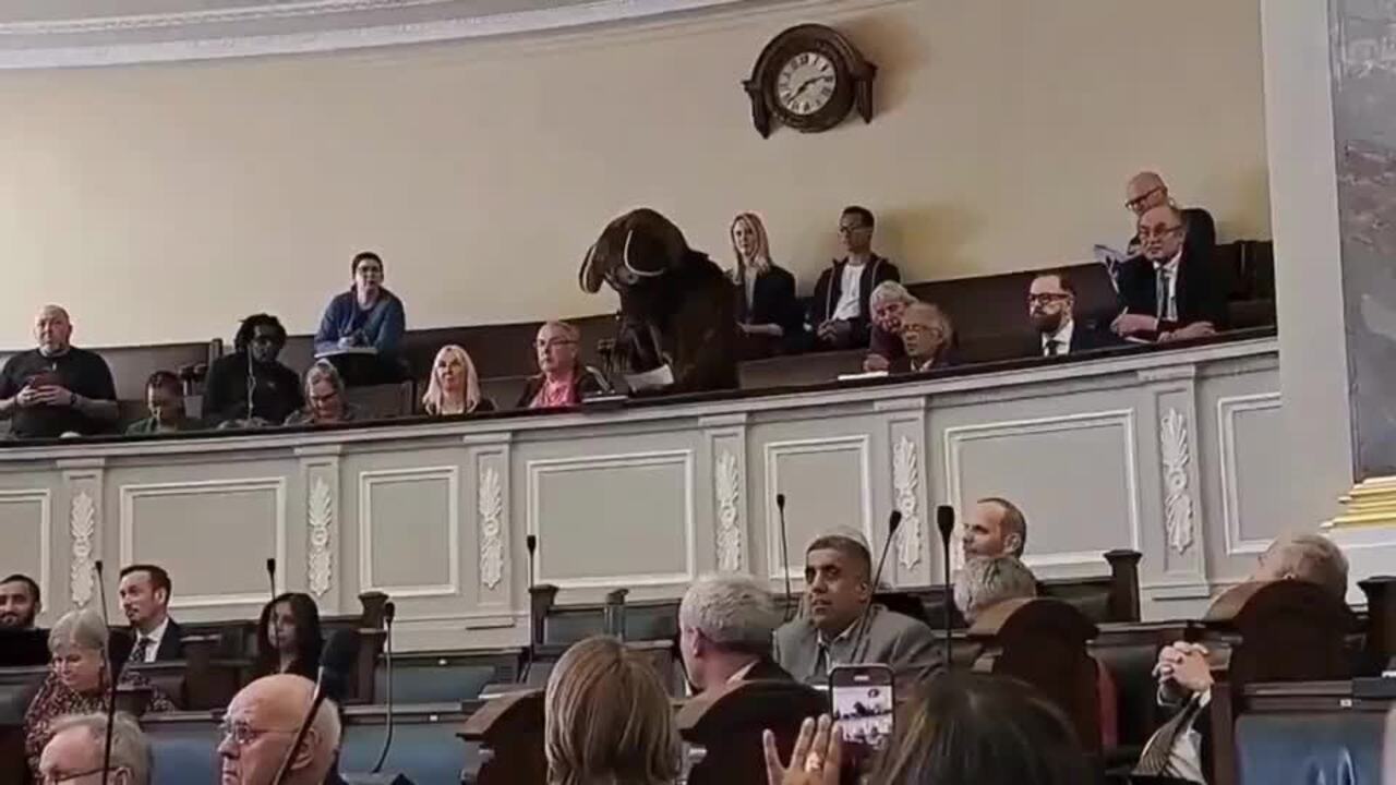 Man in rat costume confronts local government amid garbage crisis