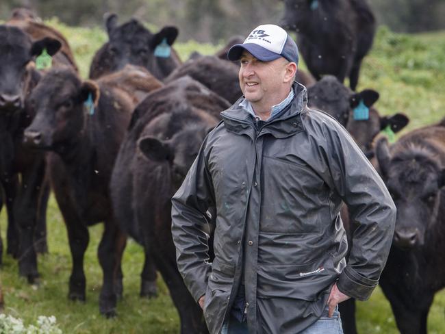 FOCUS: Paringa Livestock at YeaTom and Olivia Lawson run Paringa Livestock.Pictured: Tom Lawson from Paringa Livestock.PICTURE: ZOE PHILLIPS