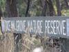‘Unexploded bomb’: Bellarine bushfire threat amid Hawaii horror