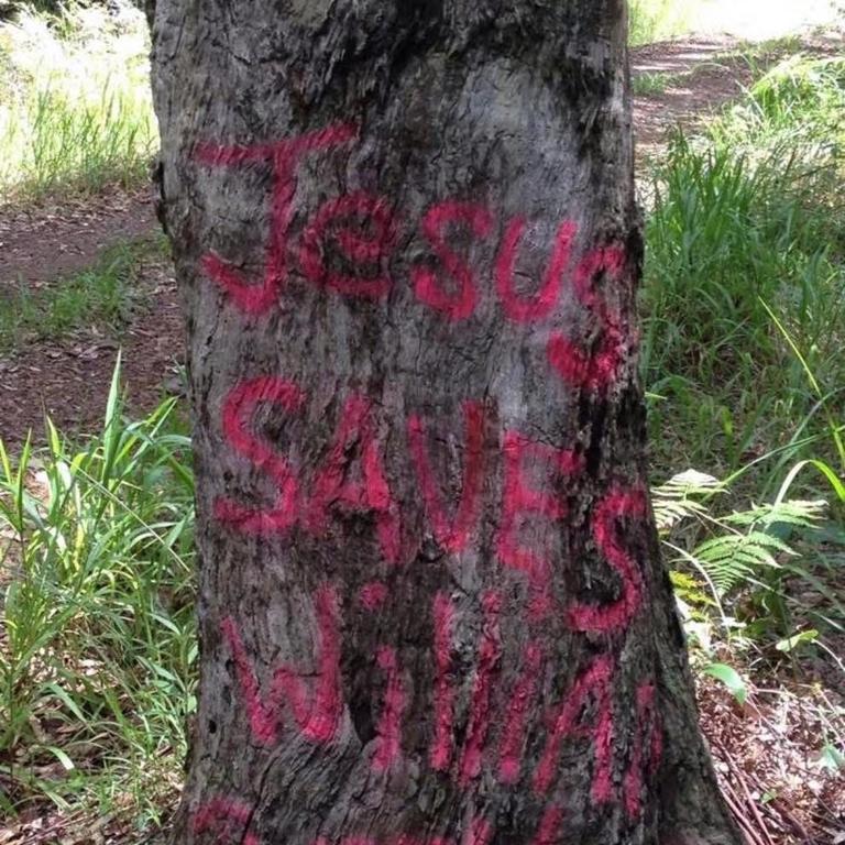 Bob Carnes took a photo of this tree with graffiti on it referring to William Tyrrell two years after the toddler disappeared.