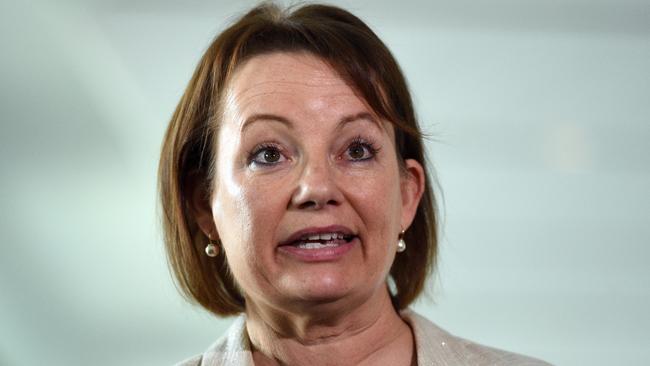 Minister for Health and Aged Care Sussan Ley has been stood down while an investigation into her travel expenses is conducted.Picture: Mick Tsikas/AAP