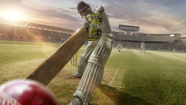 Generic cricket game. istock