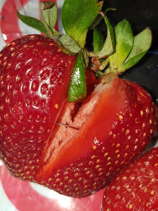 A needle found in one of the contaminated strawberries.