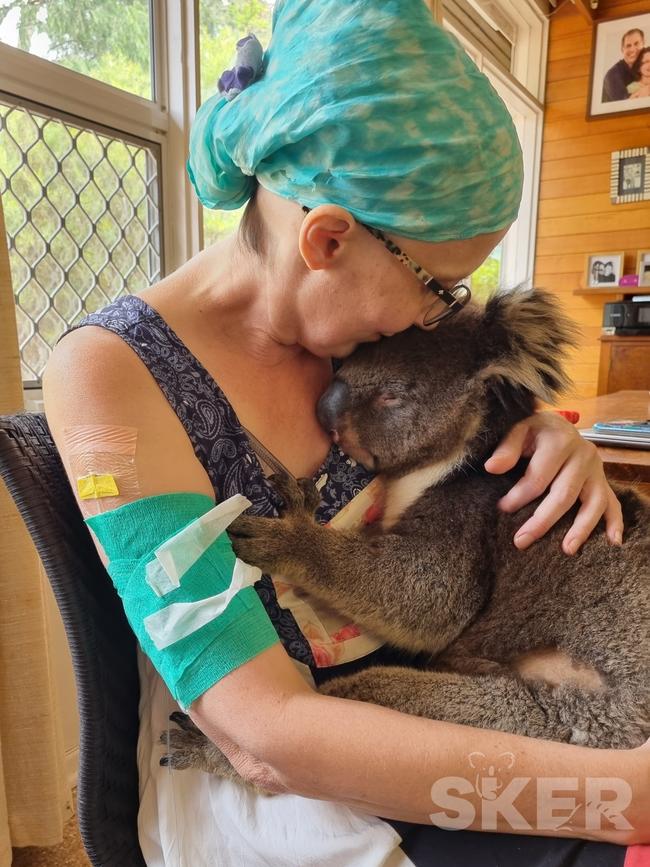 Dr Joanna Griffith with rescue koala Kev during her final days. Source: Southern Koala and Echidna Rescue