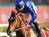Paulele in race with Trekking for Everest slot