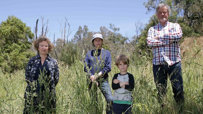 Ros Black, Rose Ann Cary, John Cary and Ned, 5, at Yarra Flats Reserve. Picture: George Salpigtidis