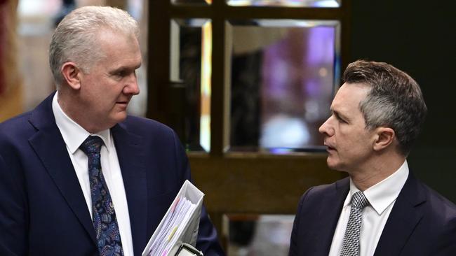 Home Affairs Minister Tony Burke, left, and Education Minister Jason Clare. Picture: Martin Ollman/NewsWire