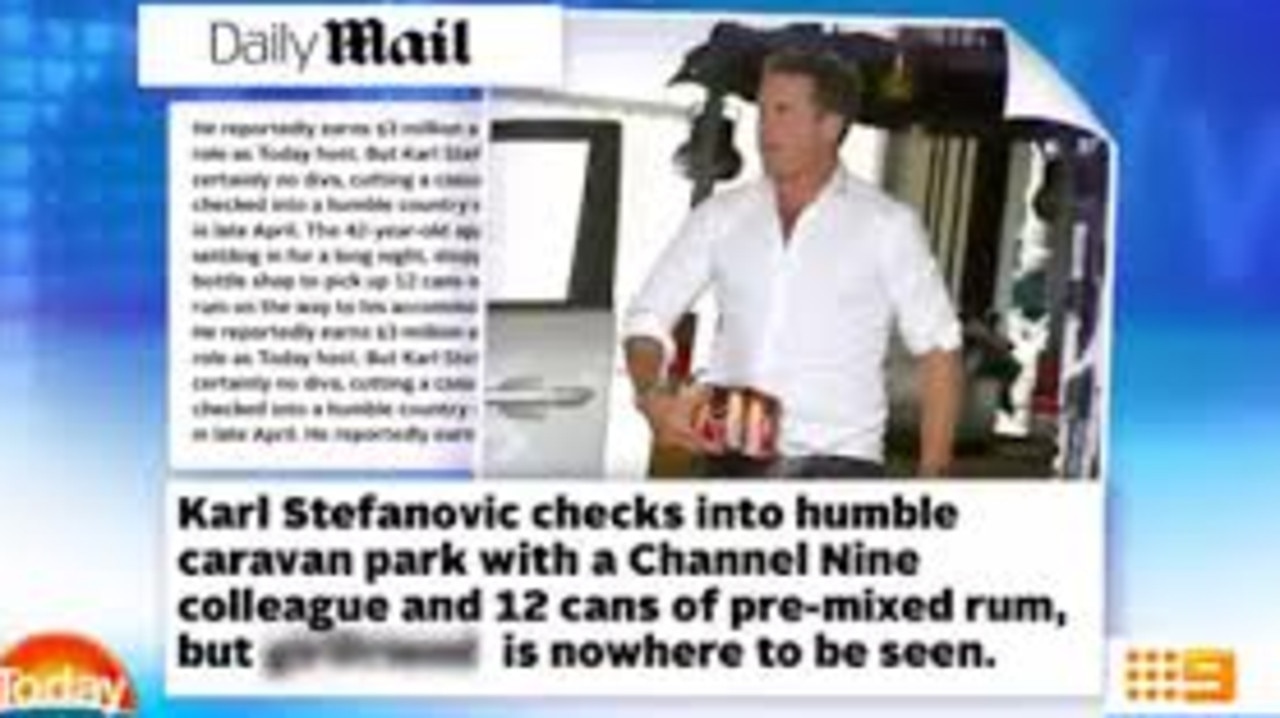 The article that sparked Stefanovic’s fury.