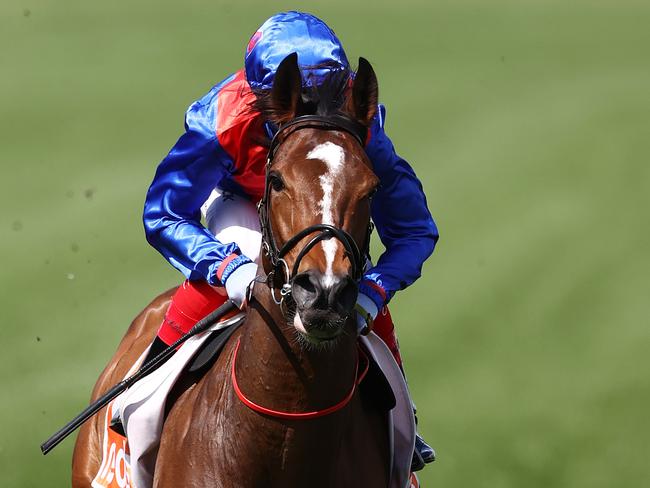 MELBOURNE. 09/10/2021. Horse Racing. Caulfield Guineas day at Caulfield racecourse, Melbourne. Race 6. The Might And Power.   Zaaki ridden by Craig Williams heads to the barrier for the running of the Might and power . Photo by Michael Klein