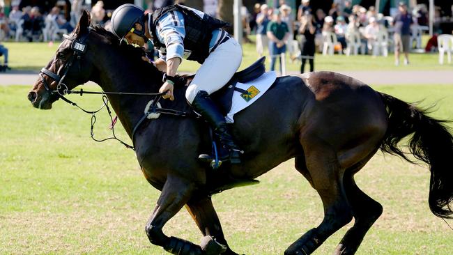 Australian Olympic equestrian rider Shane Rose has been rushed to hospital after a serious fall. Picture: NCA NewsWire / Kelly Barnes