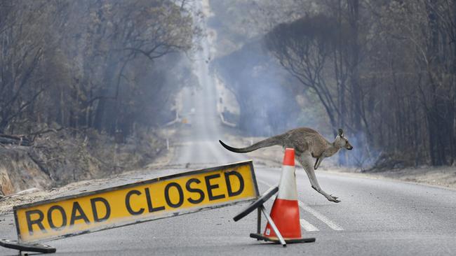 The roads surrounding Mallacoota may be closed for weeks. Picture: David Caird