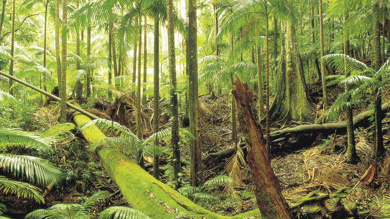 Mount Warning National Park near Murwillumbah in northern NSW.