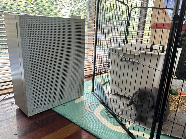 Coway Airmega 150 Air Purifier in Sage Green, removing hay from the air. Picture: Elly Awesome