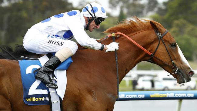 Charmed Harmony tends to produce his best at Flemington. Picture: Colleen Petch