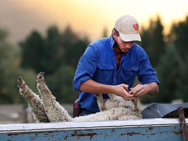 New Zealanders work longer hours, for less pay and with less investment behind them than their Dutch counterparts. Picture: Getty Images