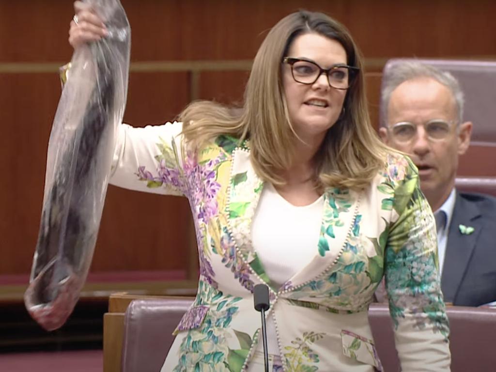 South Australian Senator Sarah Hanson-Young is considered a frontrunner to replace Adam Bandt as leader of the Greens.