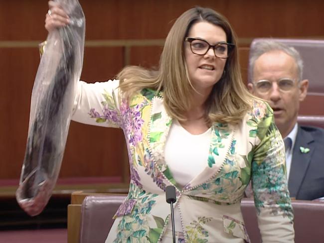 South Australian Senator Sarah Hanson-Young is considered a frontrunner to replace Adam Bandt as leader of the Greens.
