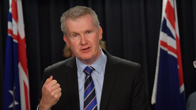 Labor’s citizenship spokesman Tony Burke says the Immigration department has briefed him on the government’s proposed shake-up.