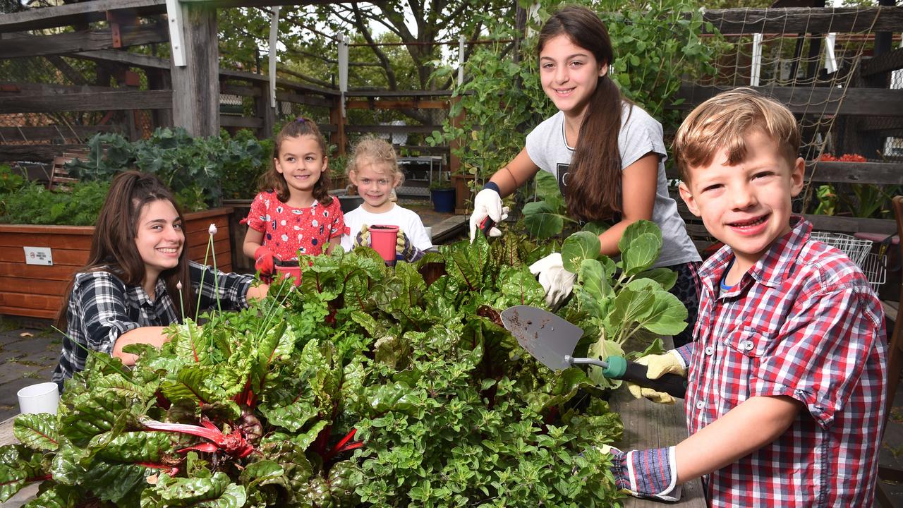 Elena, Mia, Lilian, Ana and Jayden are growing their own fruit and veggies at Stockyard Community Garden in Kensington. Picture: Tony Gough