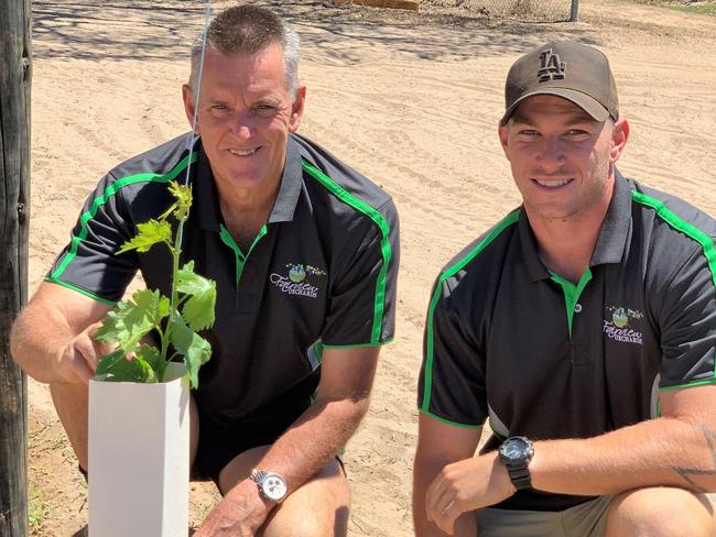 Michael Shakes, who owns the Atherton IGA supermarket, now grows table grapes on his farm in north Queensland to cater for out-of-season demand.