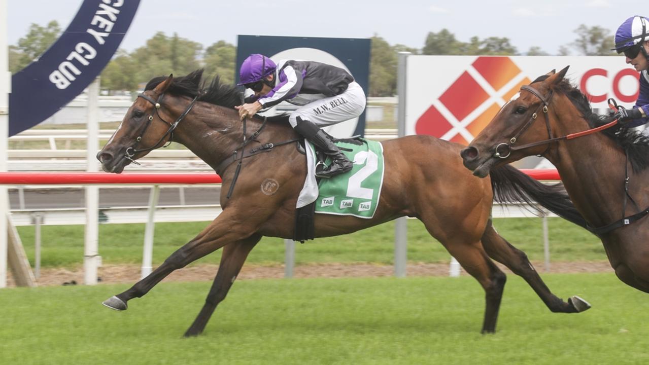 Rathoran winning recently at Tamworth. Photo: Bradley Photos