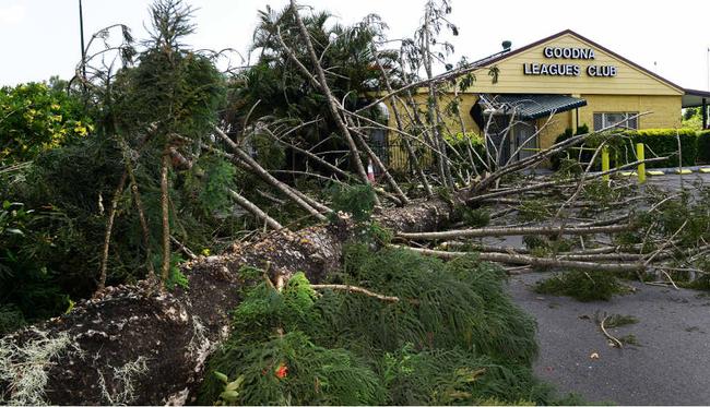 The Goodna Leagues Club was lucky to escape significant damage when this tree fell during Sunday’s storm.