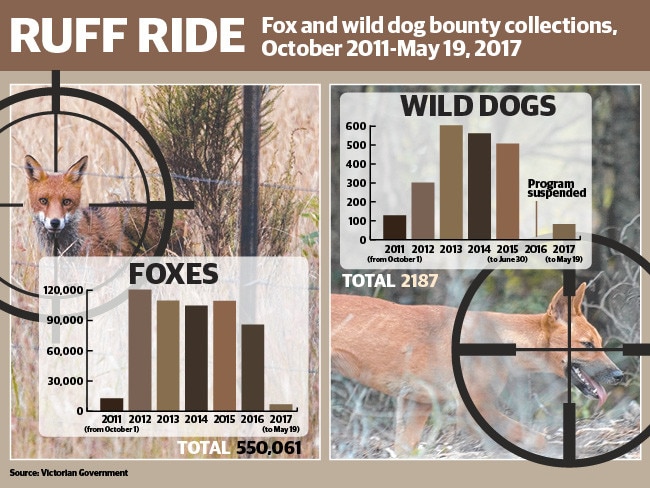 Fox bounty Victoria: Big reduction in scalp collection | The Weekly Times