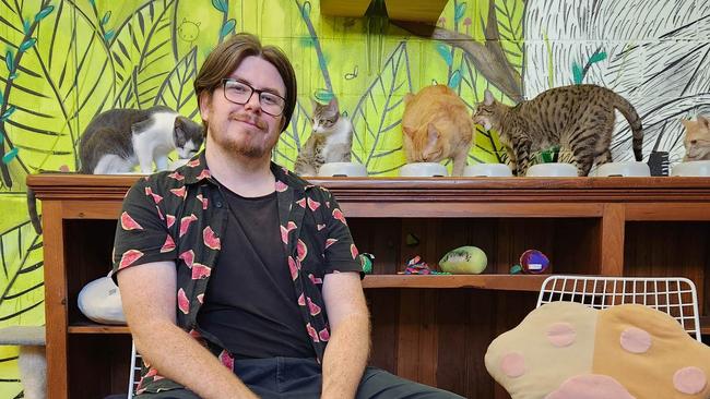 Daniel McGowan, owner Lucky Cat Cafe. Picture: Lucky Cat Cafe