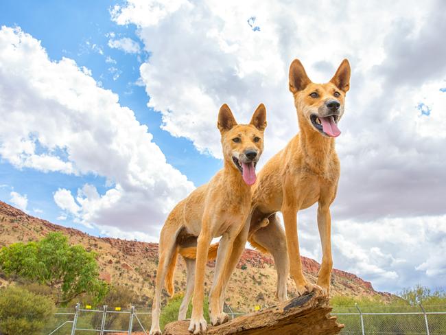 The best of mates. Picture: Instagram @laurenepbath