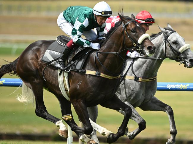 MELBOURNE, AUSTRALIA - FEBRUARY 19: Ben Melham riding Angel Capital and Jamie Melham riding Acid Wash (r) in a gallop in between races during Melbourne Racing at Sandown Racecourse on February 19, 2025 in Melbourne, Australia. (Photo by Vince Caligiuri/Getty Images)