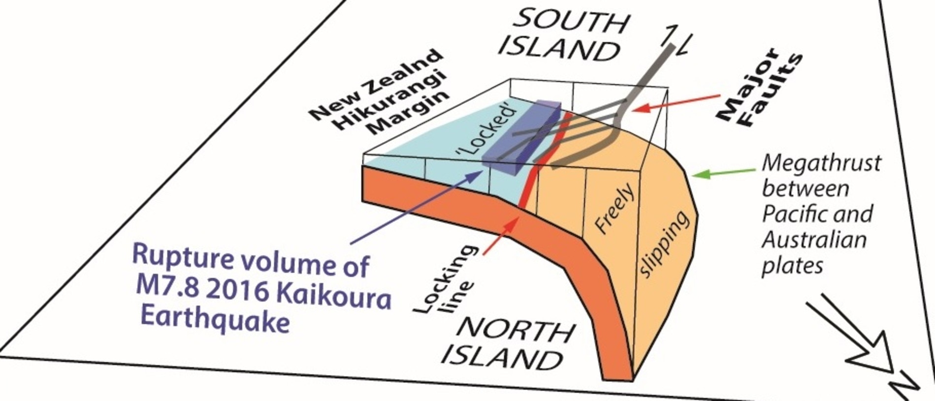 This image shows how the megathrust contributed to the Kaikoura earthquake in 2016. Picture: Simon Lamb