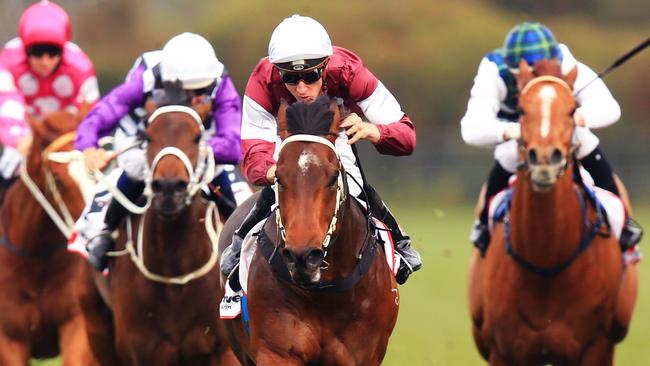 Hellbent has the right formlines to be the horse to beat in the Hall Mark Stakes. Picture: Mark Evans