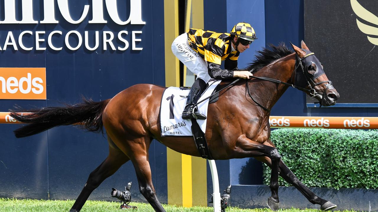 Lamaro's Sth Melbourne Geoffrey Bellmaine Stakes