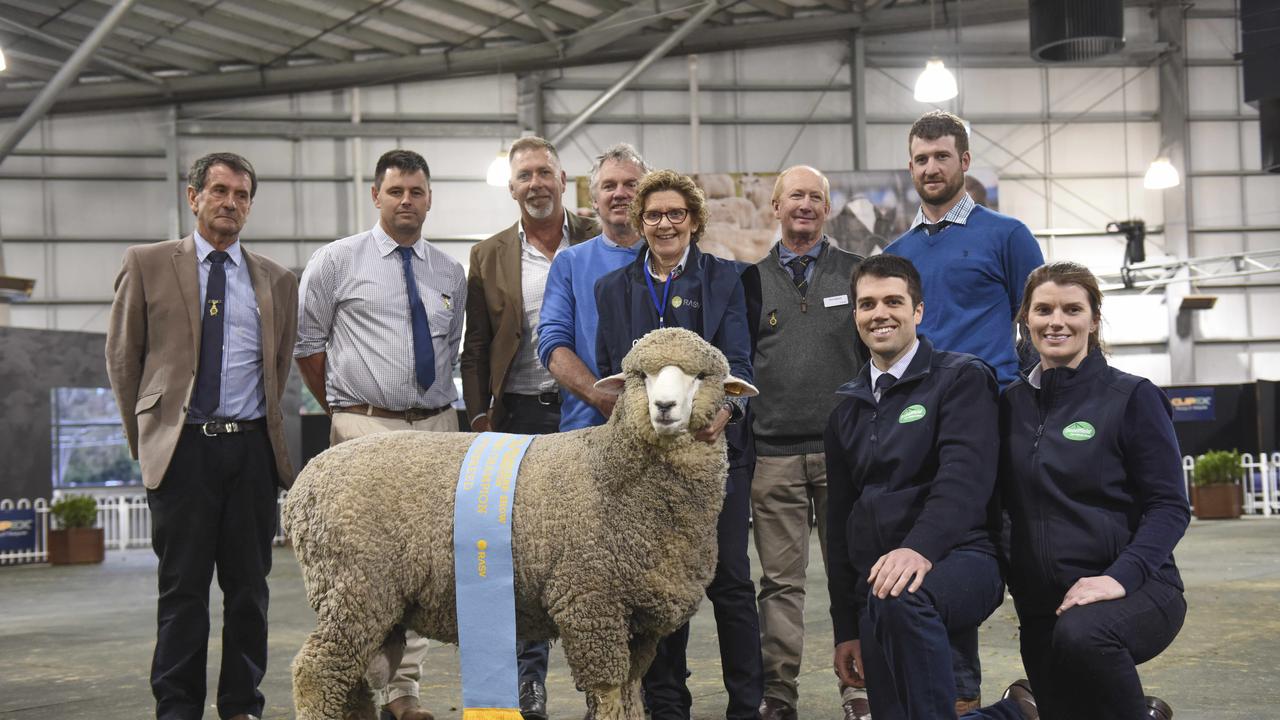 Action from the Royal Melbourne Show, on Sunday, September 22. Photo: Dannika Bonser