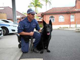 Richmond Police District's retiring police dog Ken with handler, senior constable David Kotek. Picture: Liana Turner