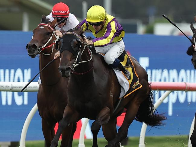 SYDNEY, AUSTRALIA - FEBRUARY 01: Tyler Schiller riding Willaidow win Race 8 Schweppes Southern Cross Stakes during Sydney Racing at Rosehill Gardens on February 01, 2025 in Sydney, Australia. (Photo by Jeremy Ng/Getty Images)