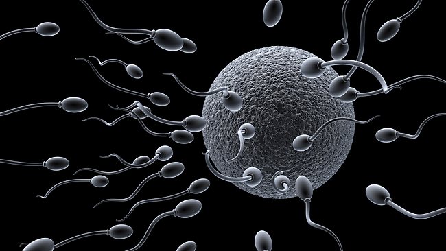 What happens when your sperm doesn’t work? | news.com.au — Australia’s ...