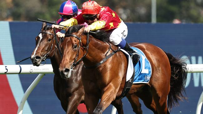 SYDNEY, AUSTRALIA - NOVEMBER 09: Tim Clark riding North England wins Race 6 Inglis Golden Gift during Sydney Racing at Rosehill Gardens on November 09, 2024 in Sydney, Australia. (Photo by Jeremy Ng/Getty Images)