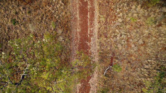 One of the many tracks through the scrub near Larrimah