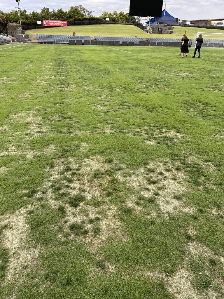 The state of the pitch on Friday.